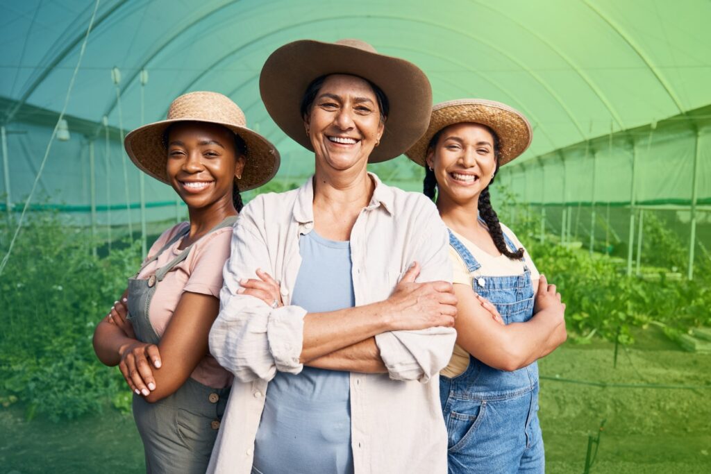 ISO certification for the agriculture industry: udderly fantastic